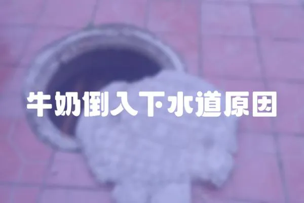 牛奶倒入下水道原因
