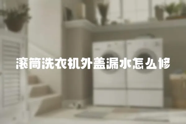 滾筒洗衣機(jī)外蓋漏水怎么修