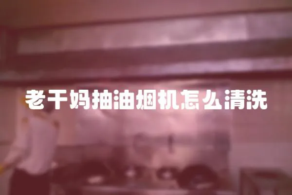 老干媽抽油煙機怎么清洗