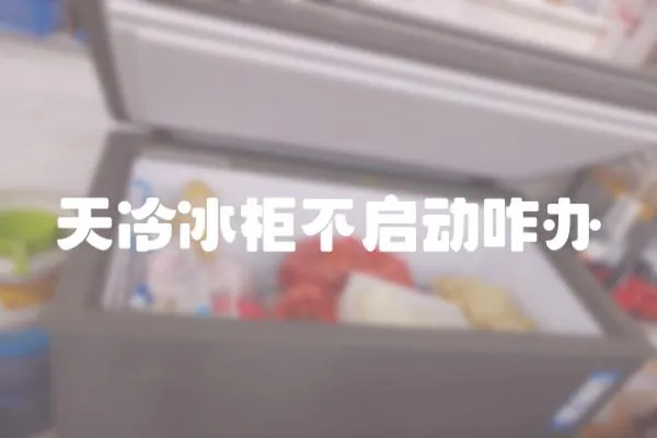 天冷冰柜不啟動(dòng)咋辦