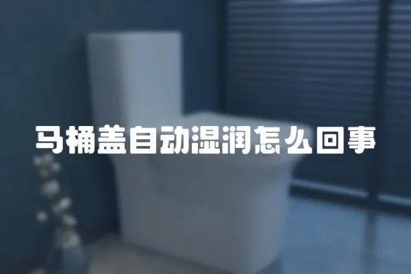 馬桶蓋自動濕潤怎么回事
