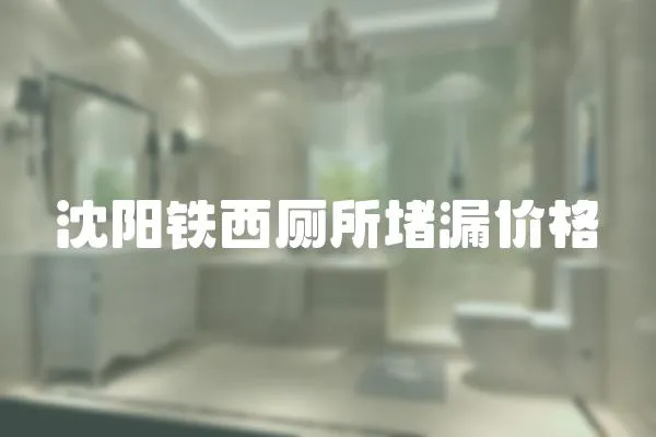 沈陽鐵西廁所堵漏價格