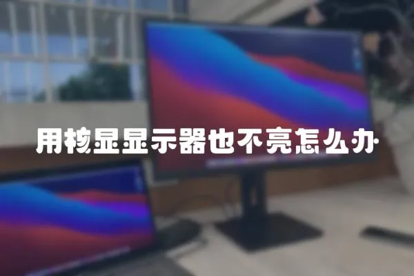 用核顯顯示器也不亮怎么辦