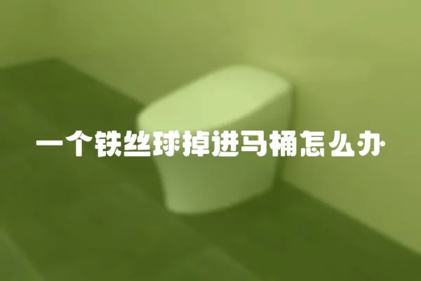 一個鐵絲球掉進馬桶怎么辦