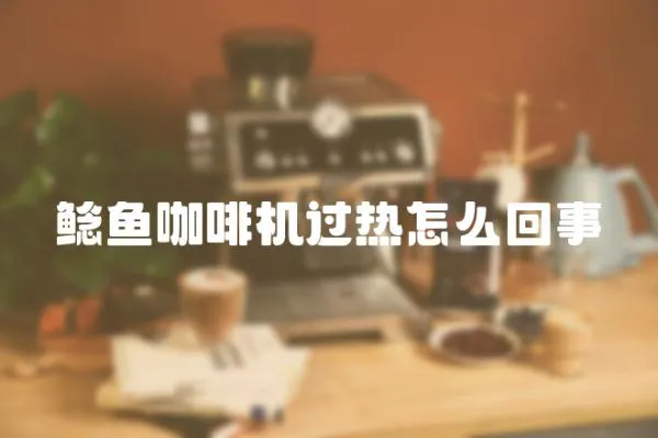 鯰魚咖啡機過熱怎么回事