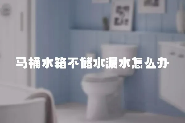馬桶水箱不儲水漏水怎么辦