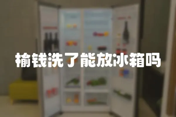 榆錢洗了能放冰箱嗎