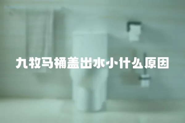 九牧馬桶蓋出水小什么原因