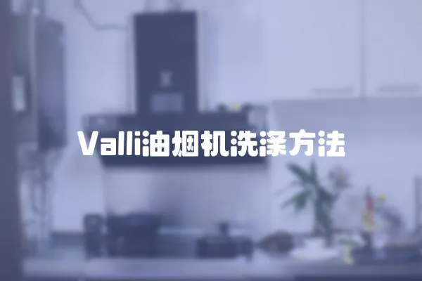 Valli油煙機洗滌方法
