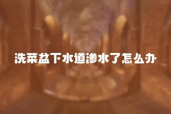 洗菜盆下水道滲水了怎么辦