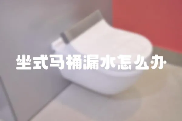 坐式馬桶漏水怎么辦