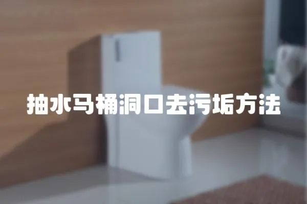 抽水馬桶洞口去污垢方法