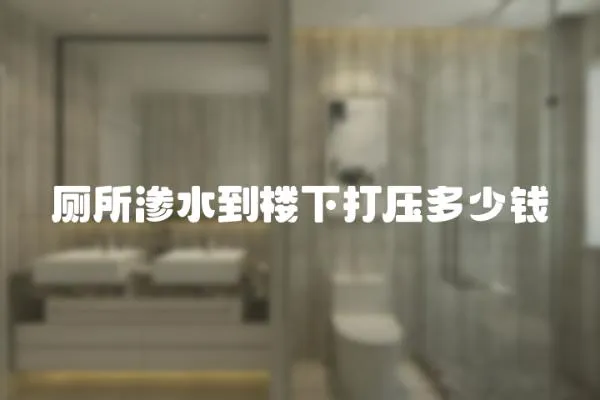 廁所滲水到樓下打壓多少錢