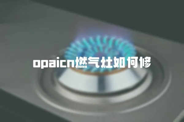 opaicn燃?xì)庠钊绾涡?></a></div>
                    <div   id=