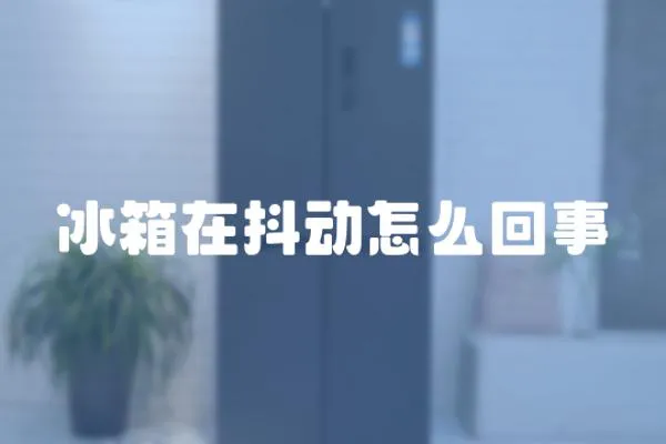 冰箱在抖動怎么回事