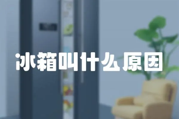 冰箱叫什么原因