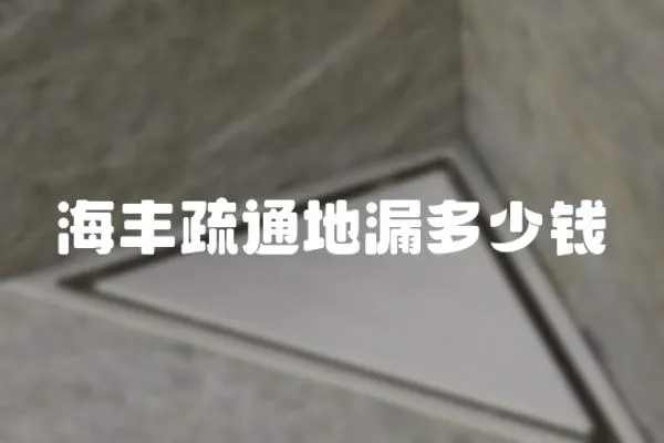 海豐疏通地漏多少錢