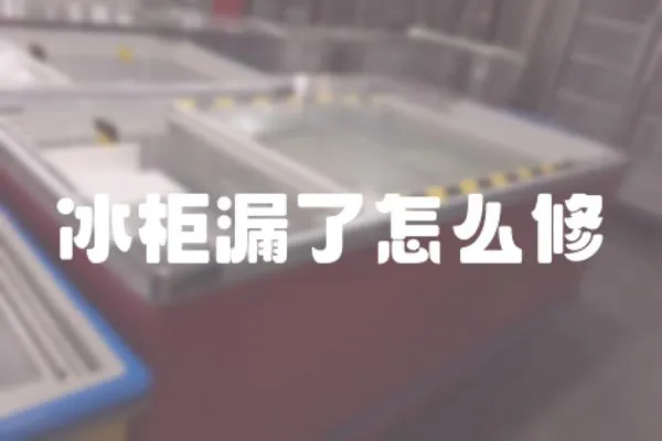 冰柜漏了怎么修