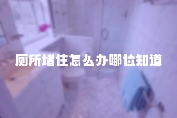 廁所堵住怎么辦哪位知道