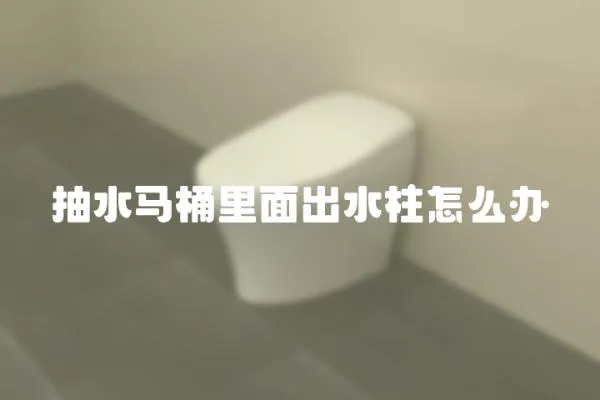 抽水馬桶里面出水柱怎么辦