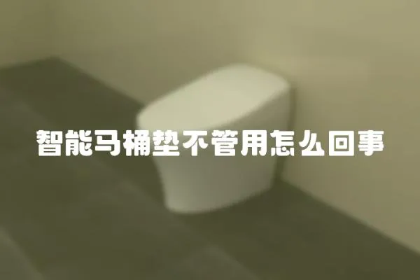 智能馬桶墊不管用怎么回事
