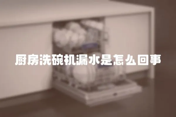 廚房洗碗機(jī)漏水是怎么回事