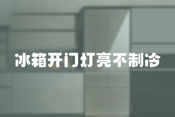 冰箱開門燈亮不制冷