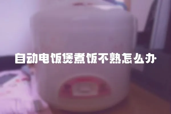 自動電飯煲煮飯不熟怎么辦