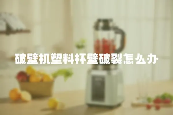 破壁机塑料杯壁破裂怎么办