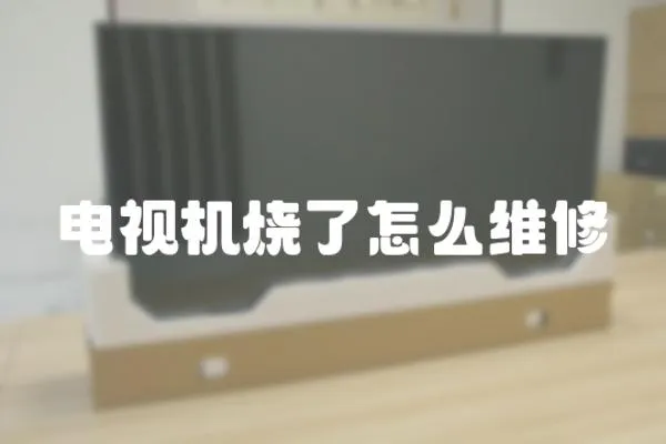 電視機燒了怎么維修