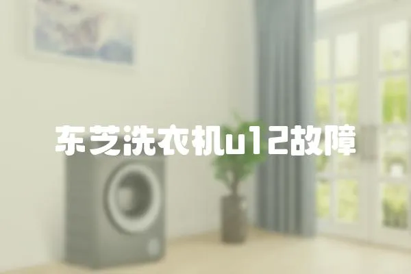 東芝洗衣機(jī)u12故障