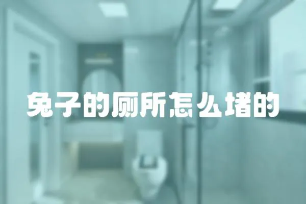 兔子的廁所怎么堵的