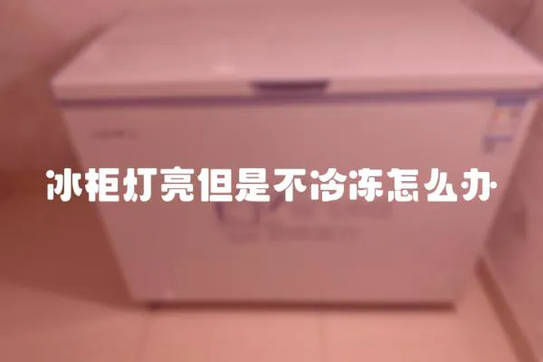 冰柜燈亮但是不冷凍怎么辦