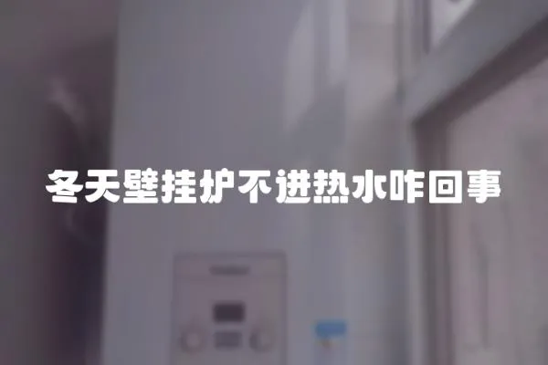 冬天壁掛爐不進(jìn)熱水咋回事