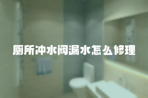 廁所沖水閥漏水怎么修理