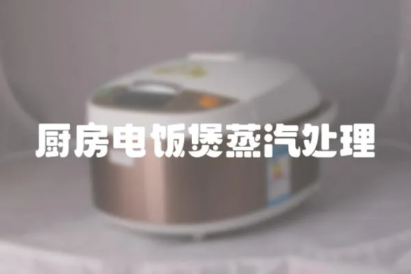 廚房電飯煲蒸汽處理