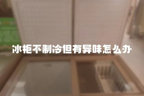 冰柜不制冷但有異味怎么辦