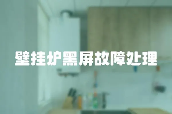 壁掛爐黑屏故障處理