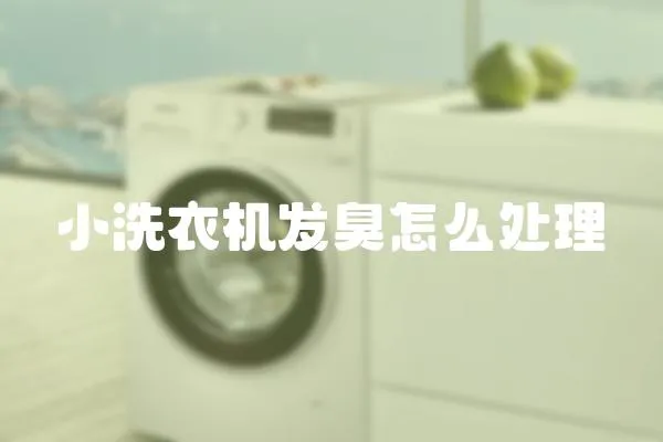 小洗衣機發(fā)臭怎么處理