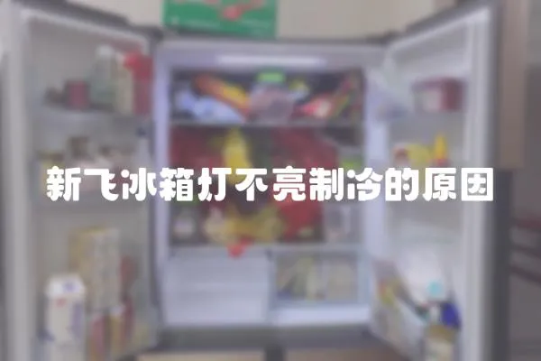 新飛冰箱燈不亮制冷的原因