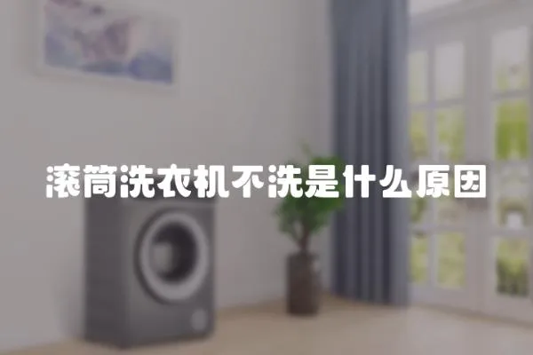 滾筒洗衣機(jī)不洗是什么原因