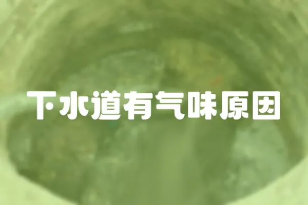 下水道有氣味原因