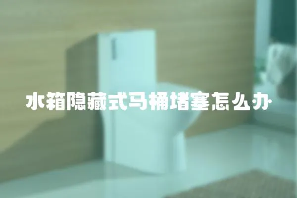 水箱隱藏式馬桶堵塞怎么辦