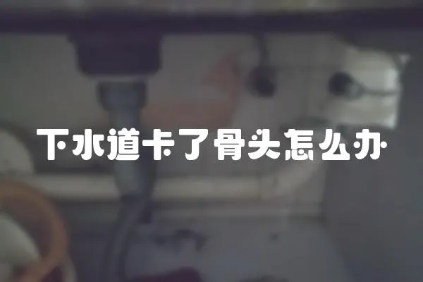 下水道卡了骨頭怎么辦