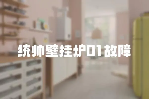 統(tǒng)帥壁掛爐01故障