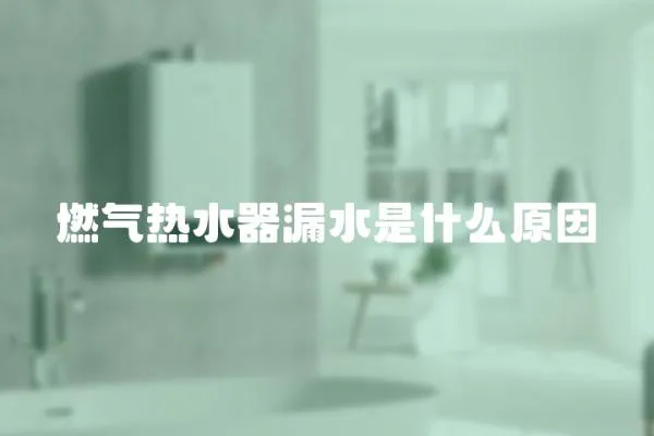 燃氣熱水器漏水是什么原因