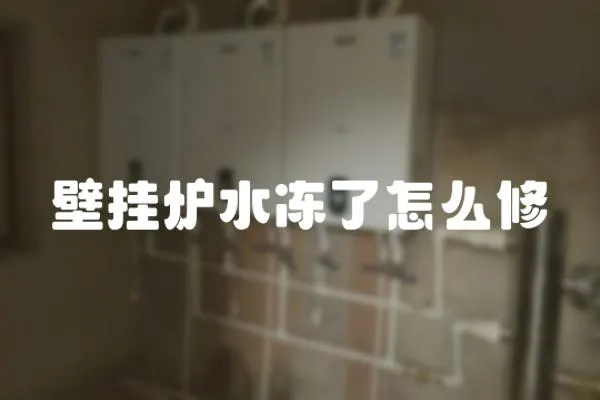 壁掛爐水凍了怎么修