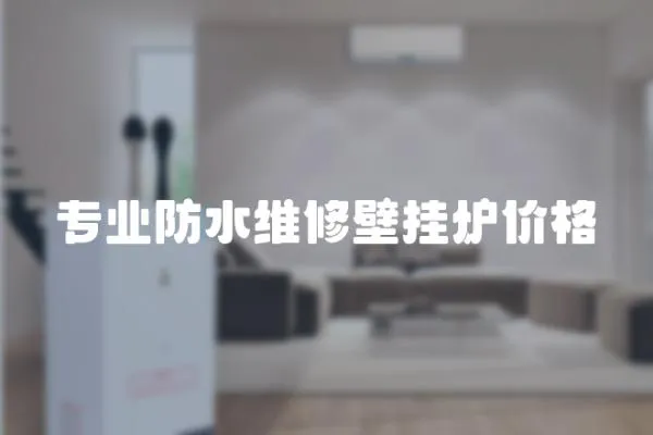 專業(yè)防水維修壁掛爐價(jià)格