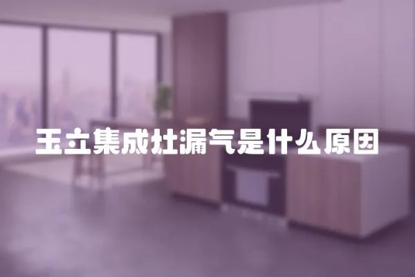 玉立集成灶漏氣是什么原因