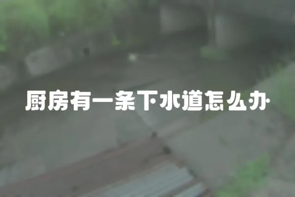 廚房有一條下水道怎么辦